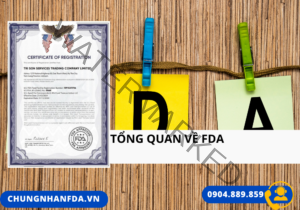 Tổng Quan Về FDA
