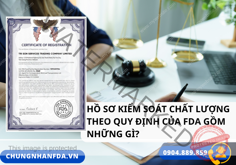 Hồ sơ kiểm soát chất lượng theo quy định của FDA gồm những gì?